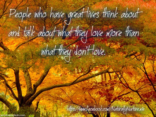 262971_410074092387266_2067733680_n