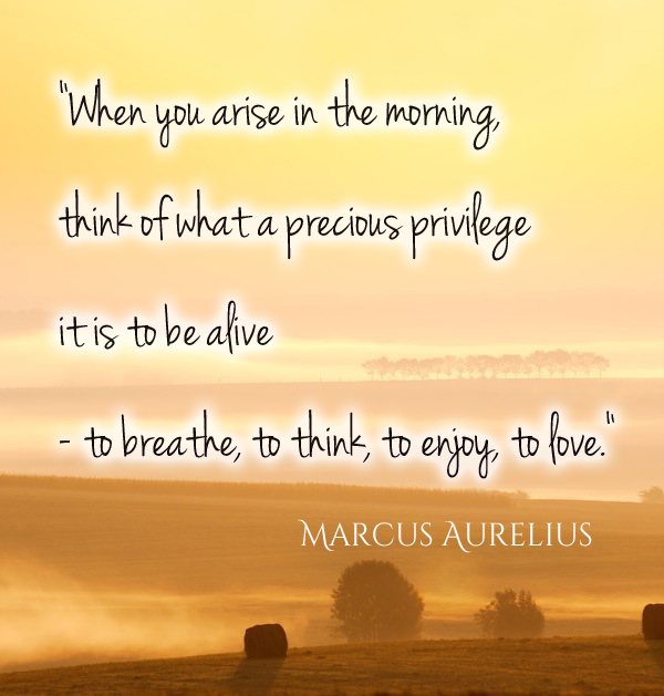 sunrise on the countryside