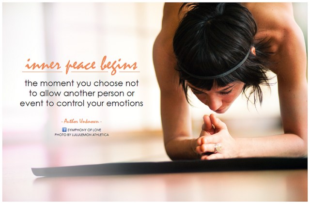 9782487611_dc7bbcf88c_b (1)